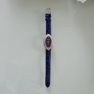 Lucien Piccard Royale Watch